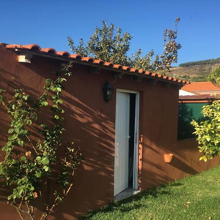 Villa - Torres Vedras, Lisbon Country Side Almeirinhos de Baixo Kültér fotó