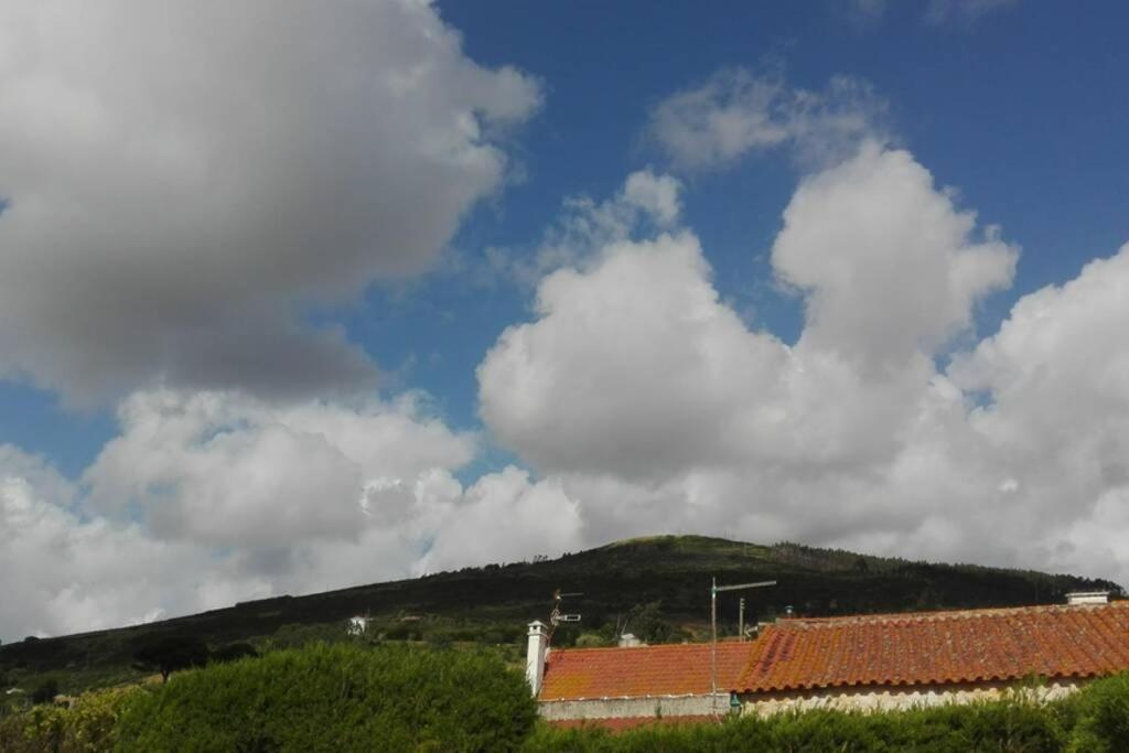 Villa - Torres Vedras, Lisbon Country Side Almeirinhos de Baixo Kültér fotó