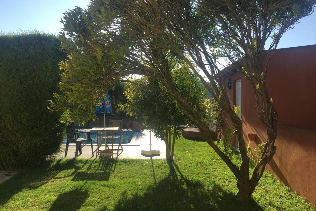 Villa - Torres Vedras, Lisbon Country Side Almeirinhos de Baixo Kültér fotó